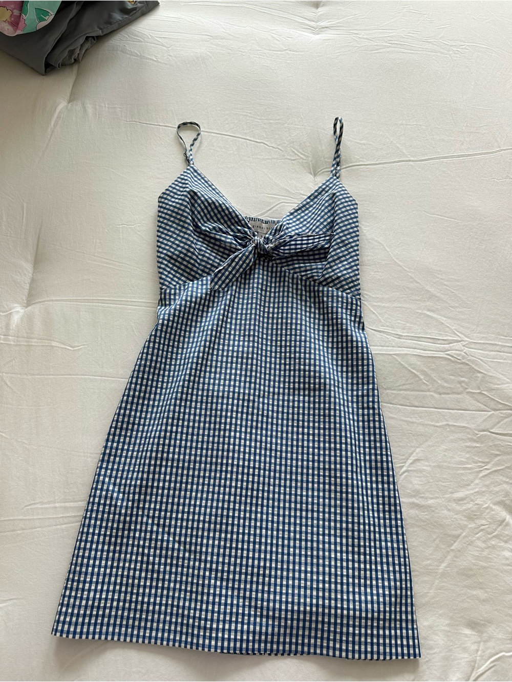 Gianni Bini Blue Gingham Tie-Front Mini Dress